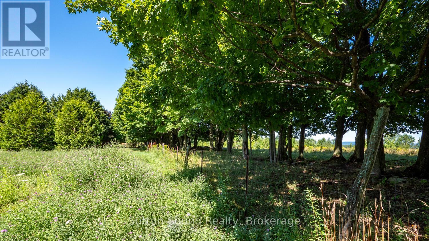 LT 38 GRAHAMS HILL ROAD, Georgian Bluffs — photo 36