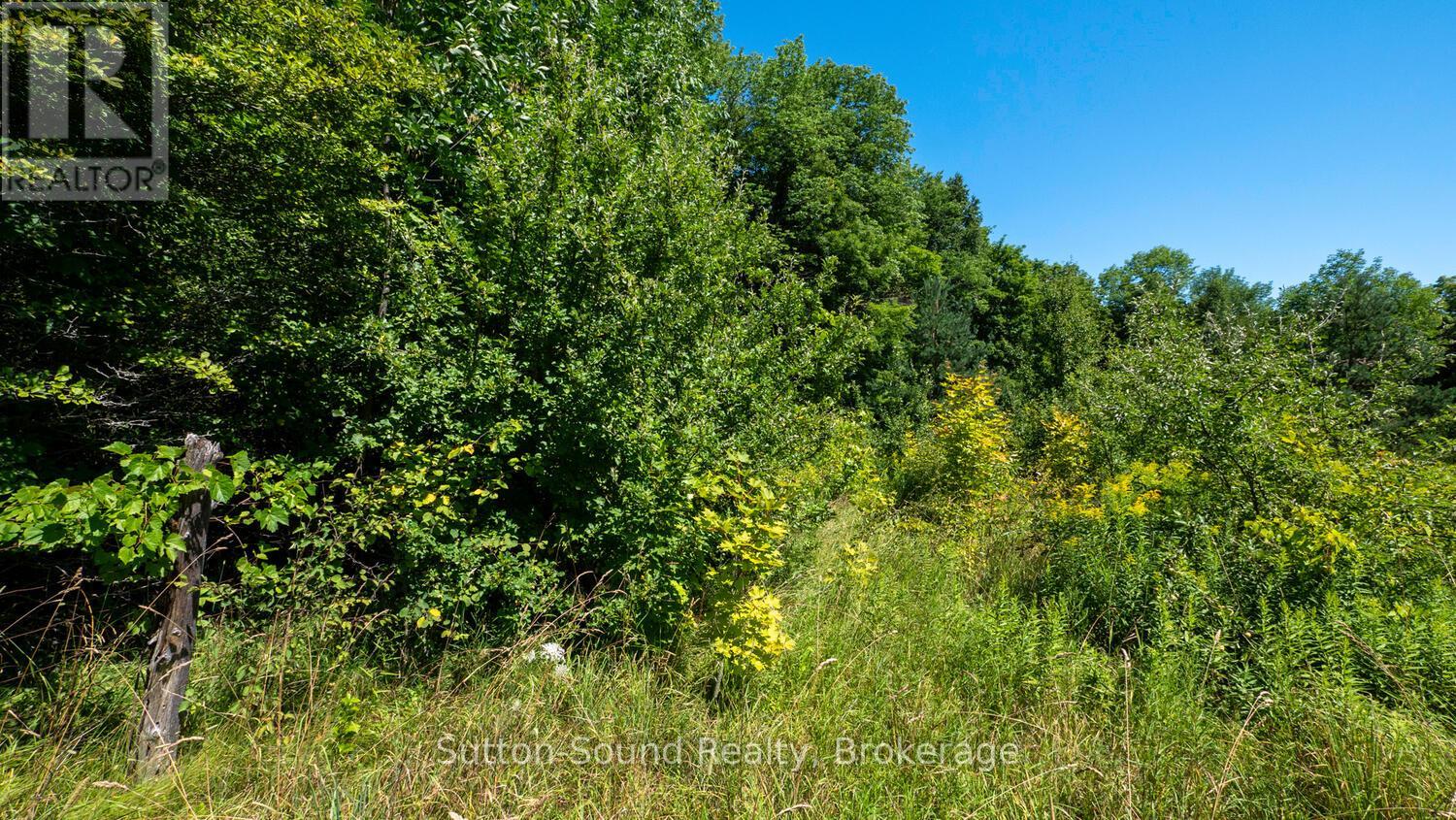 31 EVERETT ROAD, South Bruce Peninsula — photo 10