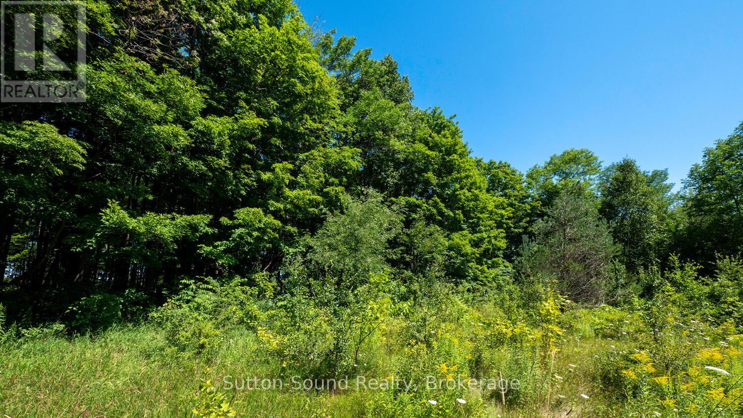 31 EVERETT ROAD, South Bruce Peninsula — photo 11