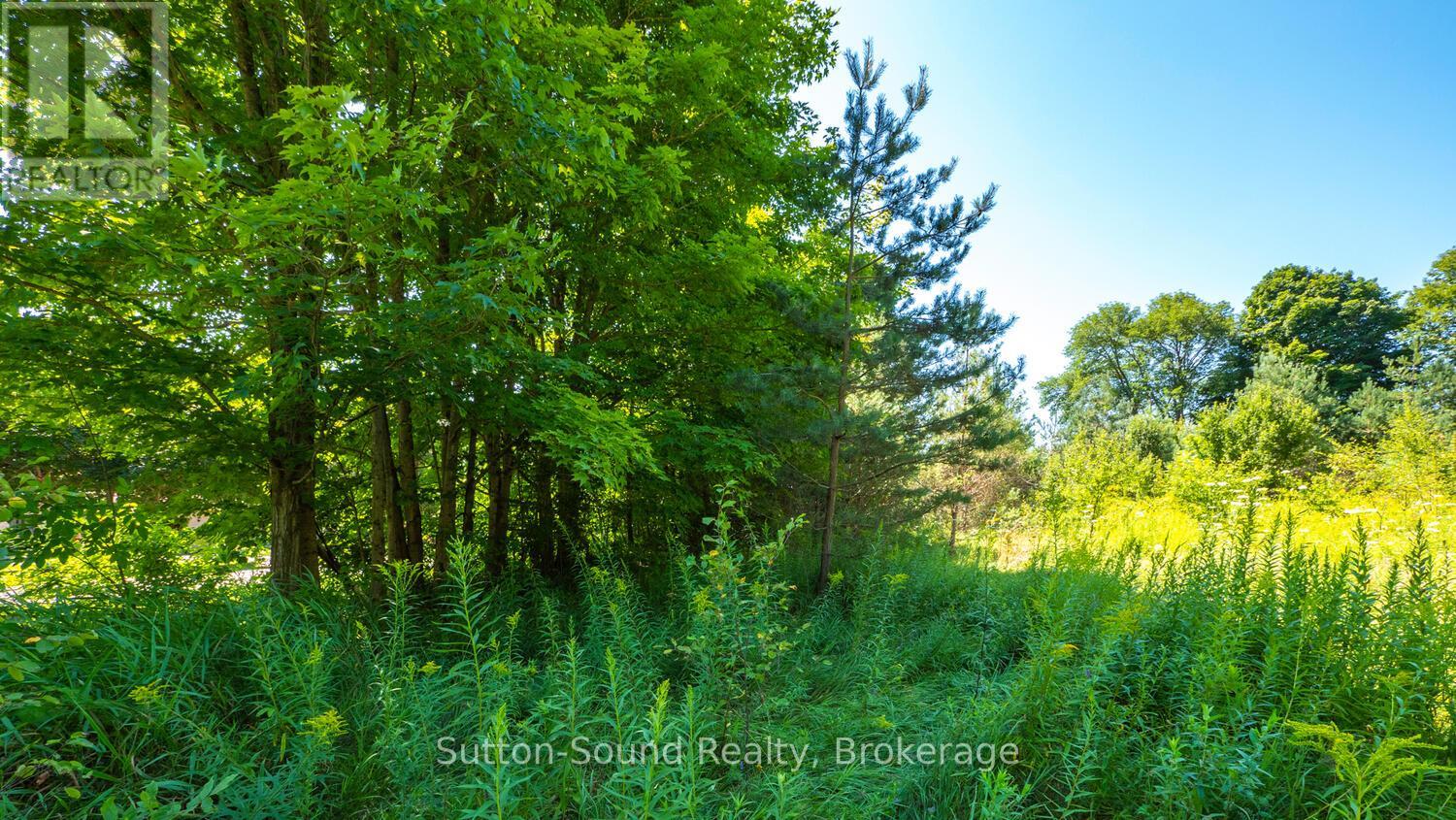 31 EVERETT ROAD, South Bruce Peninsula — photo 12