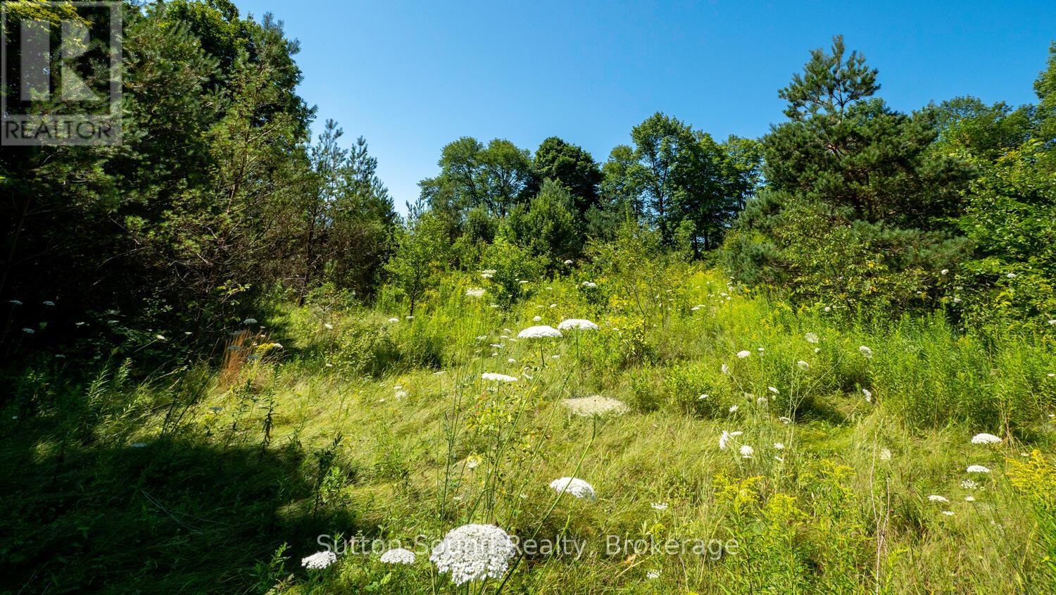 31 EVERETT ROAD, South Bruce Peninsula — photo 6