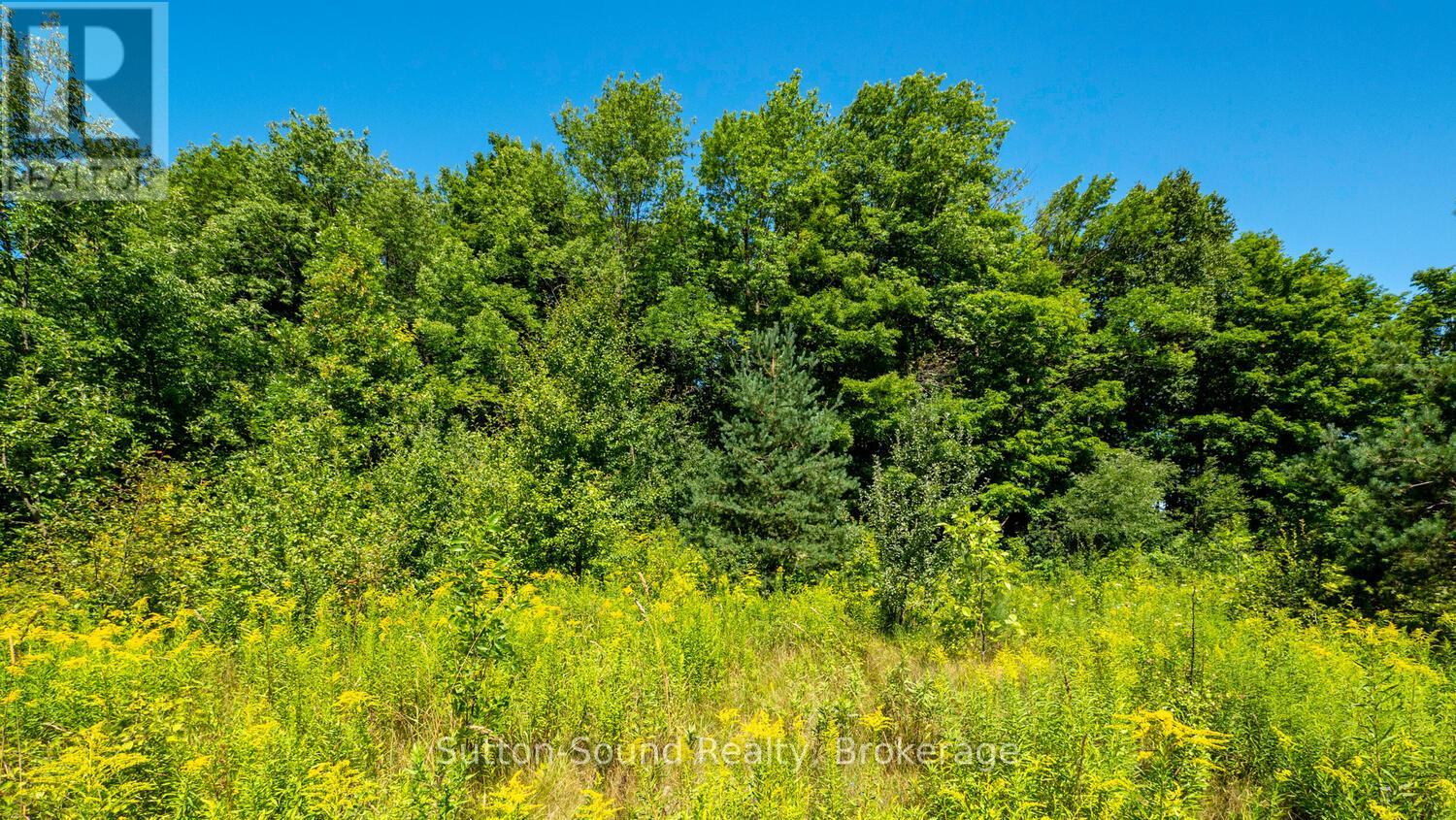 31 EVERETT ROAD, South Bruce Peninsula — photo 7