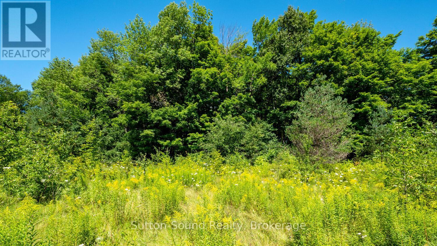 31 EVERETT ROAD, South Bruce Peninsula — photo 8
