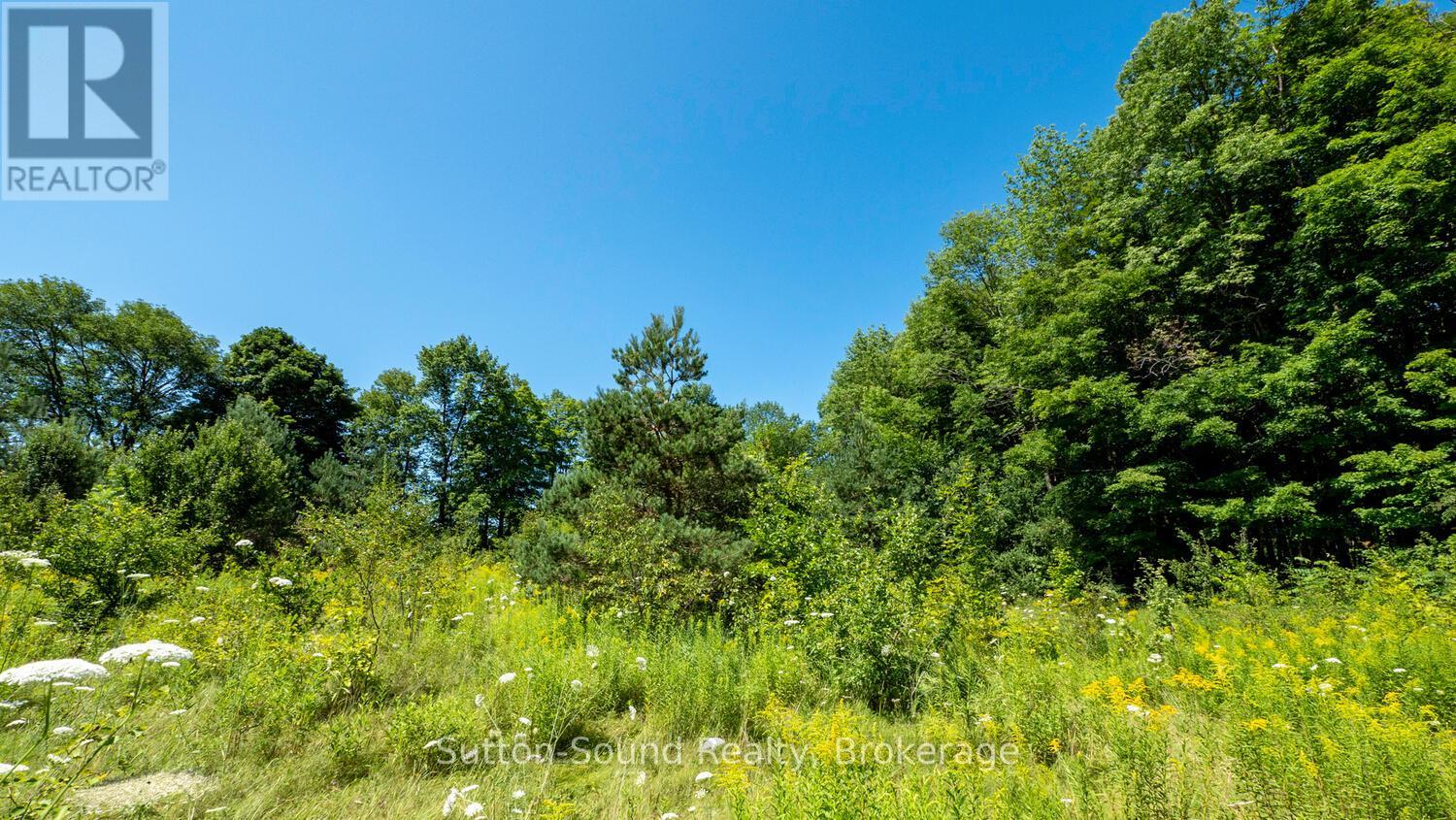 31 EVERETT ROAD, South Bruce Peninsula — photo 9