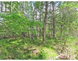 7 Lot Subdivision Regina Lane, Louisdale, NS B0E1K0 Photo 6