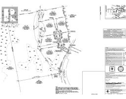 7 Lot Subdivision Regina Lane, Louisdale, NS B0E1K0 Photo 13