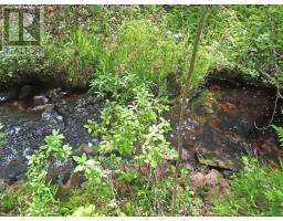 7 Lot Subdivision Regina Lane, Louisdale, NS B0E1K0 Photo 7