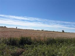 70147 74n Road N, Elkhorn, MB R0M0N0 Photo 17