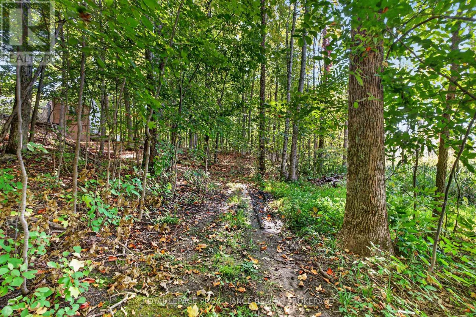 4454 BELLROCK ROAD - 37