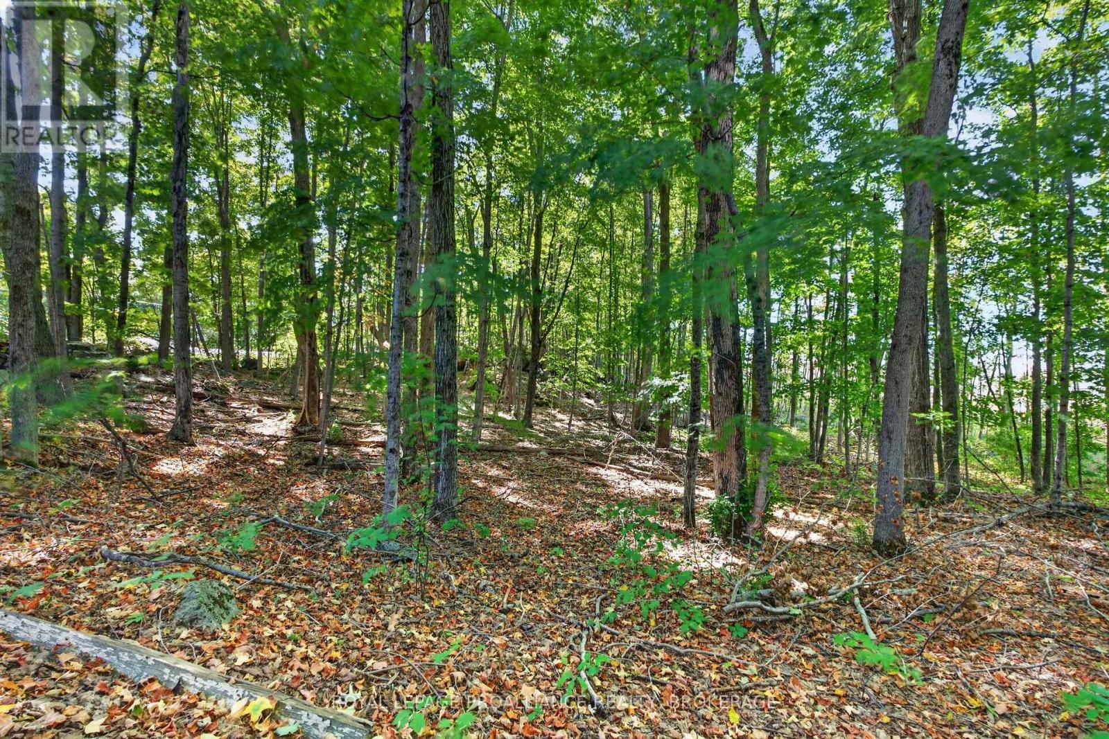 4454 BELLROCK ROAD - 38