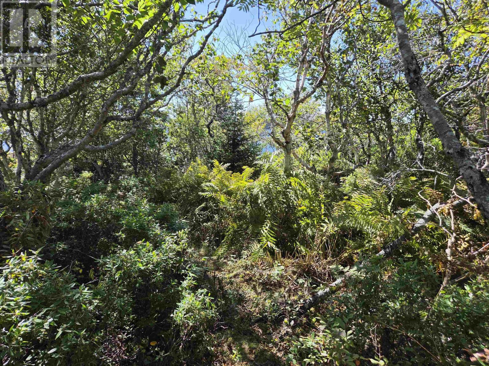 Lot 101 Kelly Point Drive, Prospect — photo 17