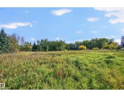 53068 Rge Road 222, Rural Strathcona County, AB T8E2A2 Photo 6
