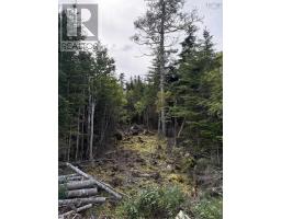 Lot 2 Conrod Beach Road E, Lower East Chezzetcook, NS B0J2L0 Photo 10