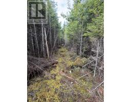 Lot 2 Conrod Beach Road E, Lower East Chezzetcook, NS B0J2L0 Photo 9