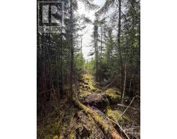 Lot 2 Conrod Beach Road E, Lower East Chezzetcook, NS B0J2L0 Photo 7