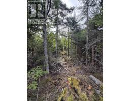 Lot 2 Conrod Beach Road E, Lower East Chezzetcook, NS B0J2L0 Photo 6