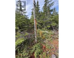 Lot 2 Conrod Beach Road E, Lower East Chezzetcook, NS B0J2L0 Photo 8