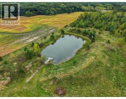 4913 4th Concession Rd E East, Harrow, ON N0R1G0 Photo 23