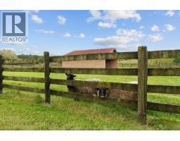 4913 4th Concession Rd E East, Harrow, ON N0R1G0 Photo 16