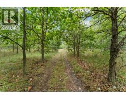 4913 4th Concession Rd E East, Harrow, ON N0R1G0 Photo 20