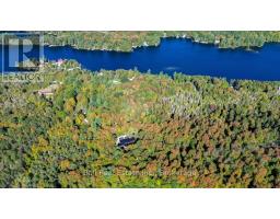 95 Woodland Road, North Kawartha, ON K0L1A0 Photo 48