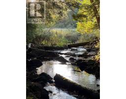 95 Woodland Road, North Kawartha, ON K0L1A0 Photo 49