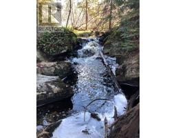 95 Woodland Road, North Kawartha, ON K0L1A0 Photo 50