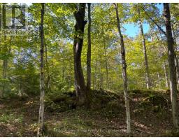 135 North Diagonal, South Bruce Peninsula, ON N0H2T0 Photo 43