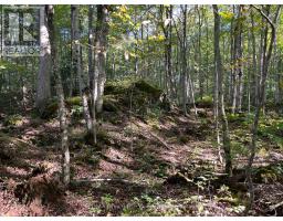 135 North Diagonal, South Bruce Peninsula, ON N0H2T0 Photo 44