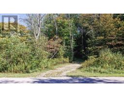 611 Tuscarora Road, Huron Kinloss, ON N0G2R0 Photo 6