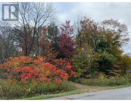 611 Tuscarora Road, Huron Kinloss, ON N0G2R0 Photo 9