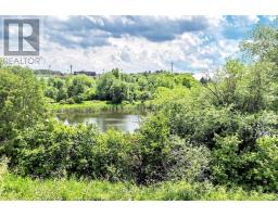 5 Evelyn Buck Lane, Aurora, ON L4G7H9 Photo 49