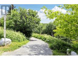5 Evelyn Buck Lane, Aurora, ON L4G7H9 Photo 50