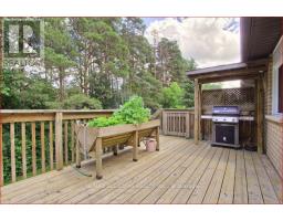 91 Kate Aitken Crescent, New Tecumseth, ON L0G1A0 Photo 27
