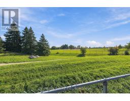 37 Swindells Street, Clarington, ON L1C0K3 Photo 39