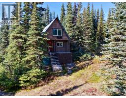 281 Prarie Road, Smithers, BC V0J2N4 Photo 28