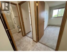 305, 3090 15 Avenue Se, Medicine Hat, AB T1B3Z3 Photo 11