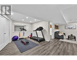 20 Birkdale Place, Newmarket, ON L3Y0E2 Photo 26