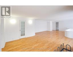Main N - 207a Cowan Avenue, Toronto, ON M6K1L6 Photo 12