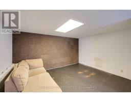 Main N - 207a Cowan Avenue, Toronto, ON M6K1L6 Photo 18