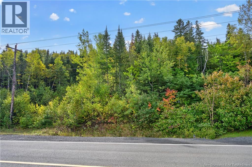 Lot Victoria Street, Dalhousie — photo 2