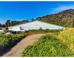 38620 No. 4 Road, Abbotsford, BC V3G2G2 Photo 8