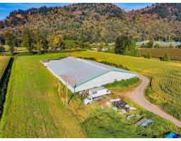 38620 No. 4 Road, Abbotsford, BC V3G2G2 Photo 6