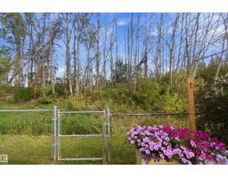 5907 53a Av, Redwater, AB T0A2W0 Photo 60