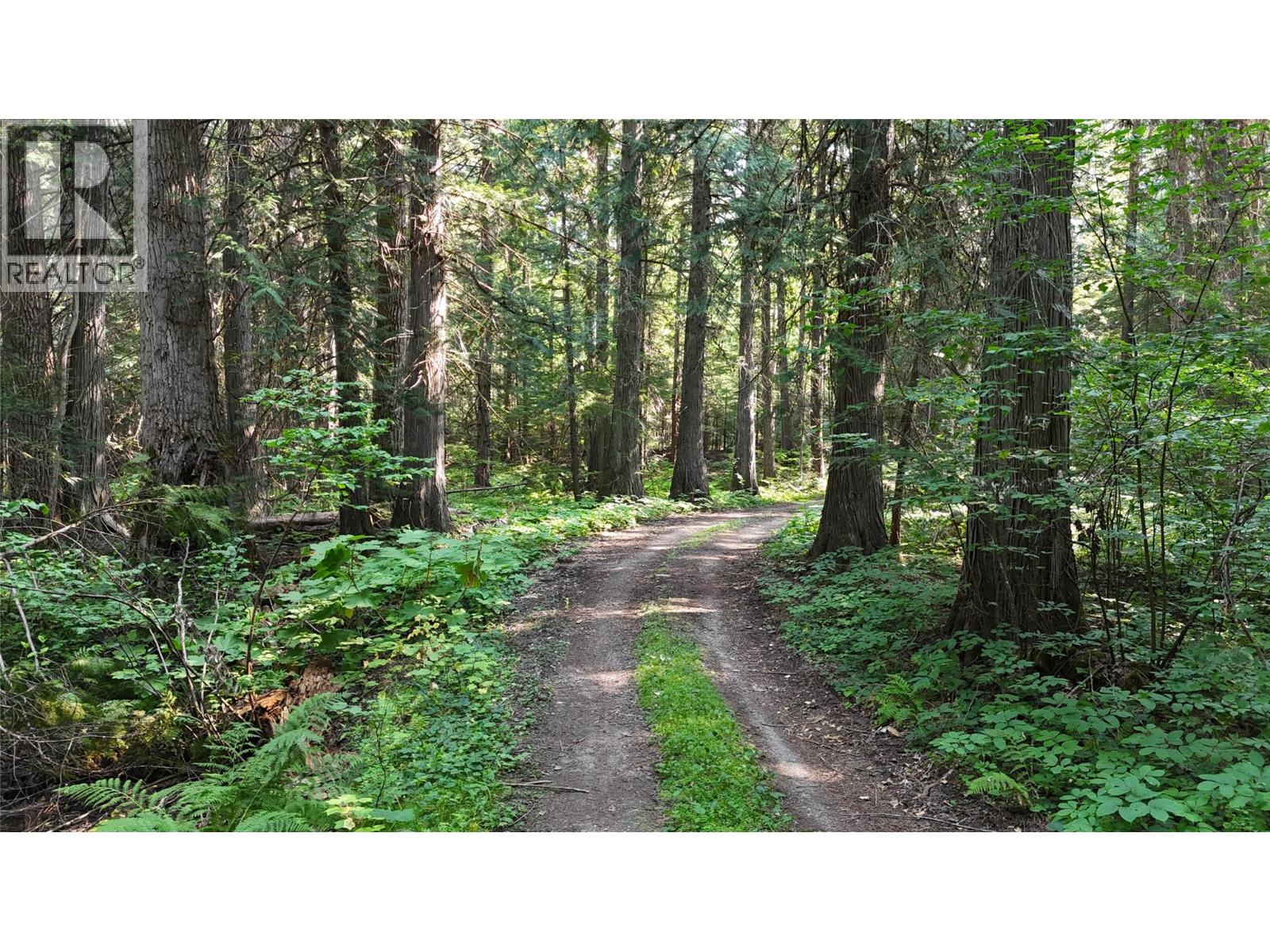 15370 Highway 31 Highway - Image 19