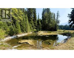 15370 Highway 31 Highway, Poplar Creek, BC V0G1N0 Photo 51