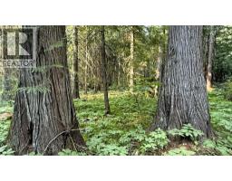 15370 Highway 31 Highway, Poplar Creek, BC V0G1N0 Photo 21