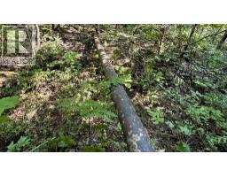 15370 Highway 31 Highway, Poplar Creek, BC V0G1N0 Photo 92