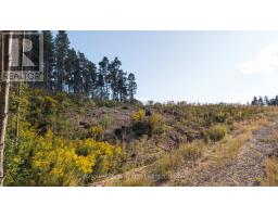 16631 Mount Hope Road, Caledon, ON L7E4A7 Photo 10