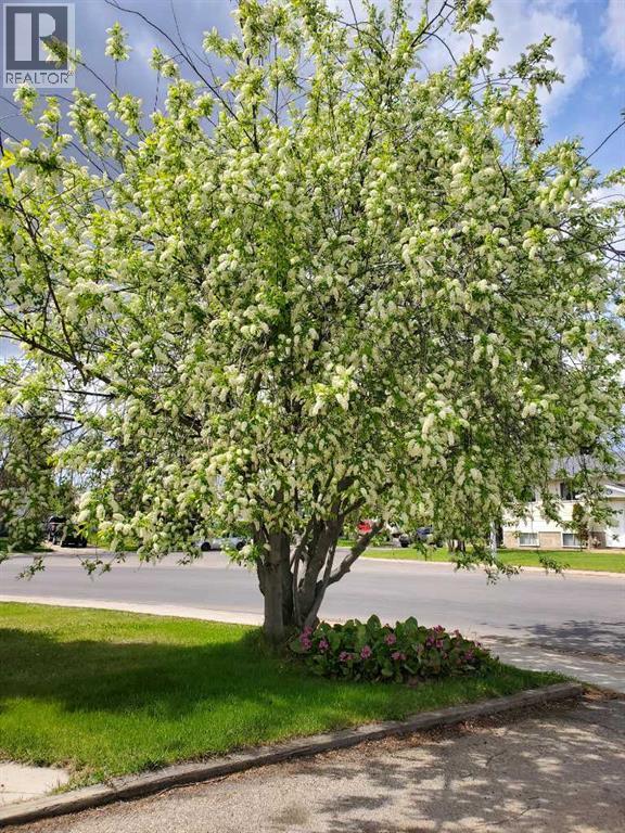 9313 111 Avenue - Image 28